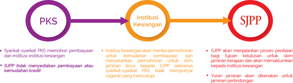 how to apply illustration